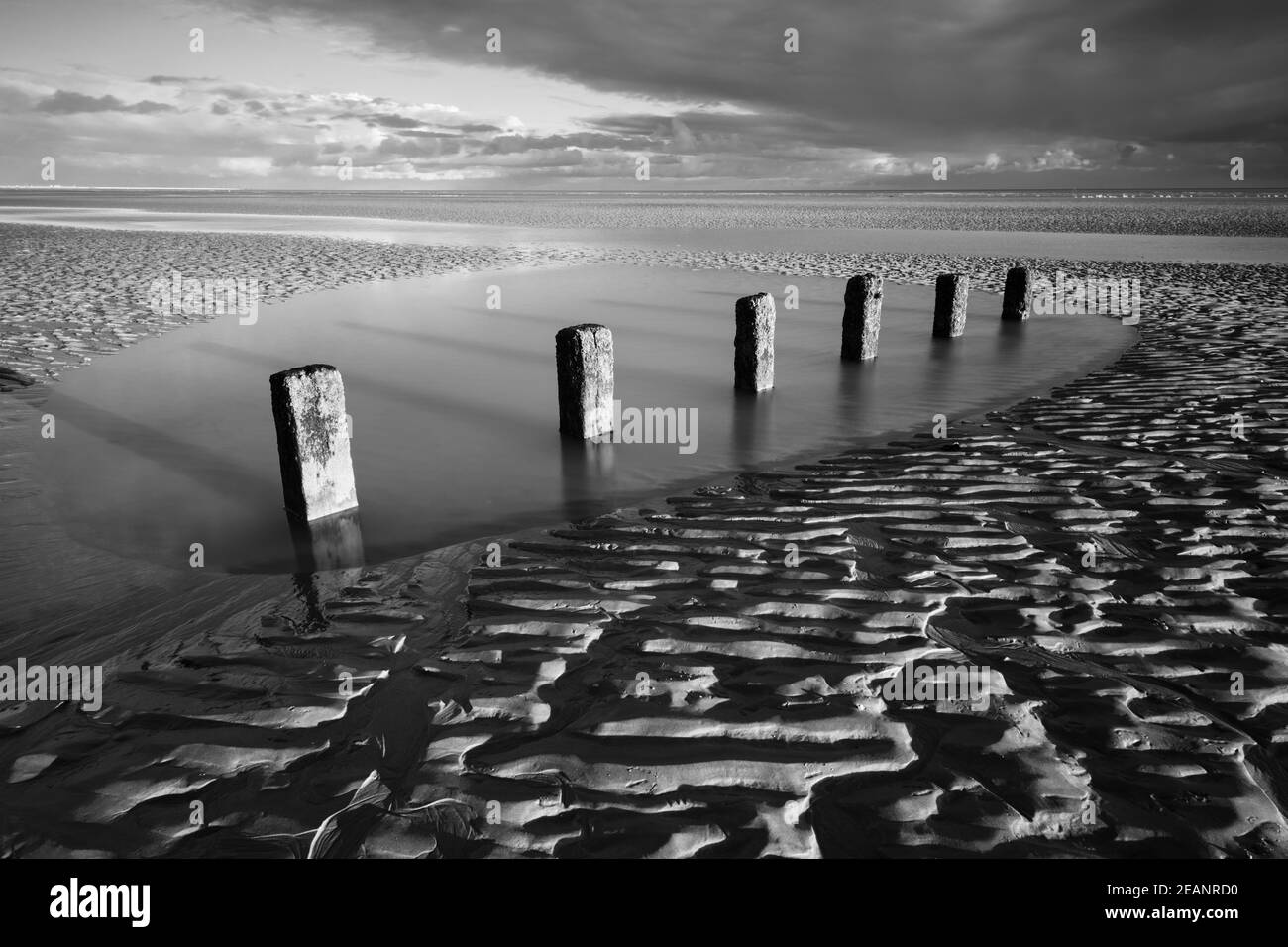 Paletti di legno marcio di vecchie difese marine sulla spiaggia di Wichelsea a bassa marea, Wichelsea, Sussex orientale, Inghilterra, Regno Unito, Europa Foto Stock