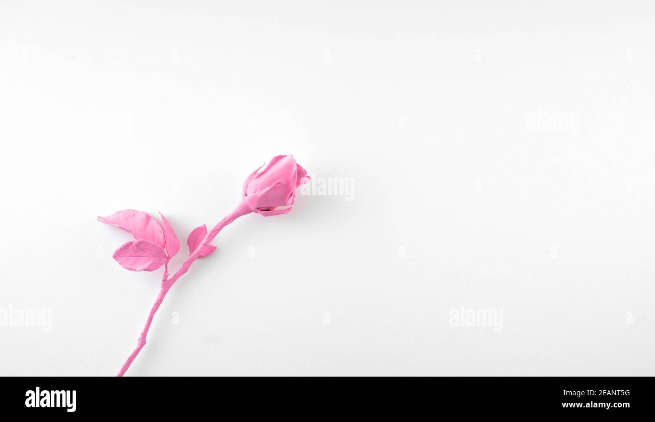 Acrilico rosa isolato su sfondo bianco. Vista dall'alto, orizzontale, composizione decentrata con stile spazio di copia. Foto Stock
