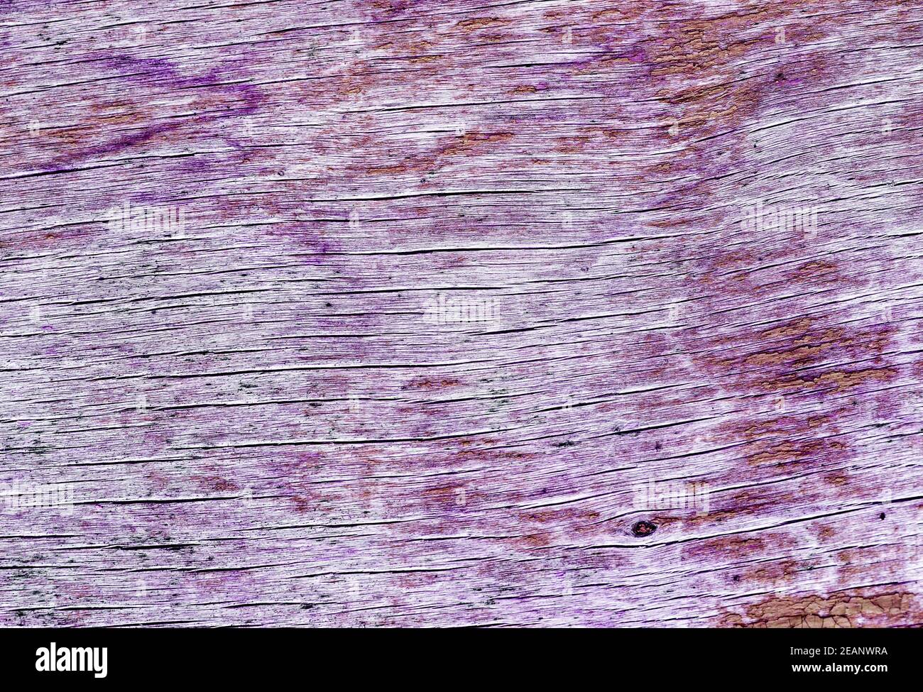 Vintage Grunge Texture di sfondo di legno dipinta in rosa Foto Stock