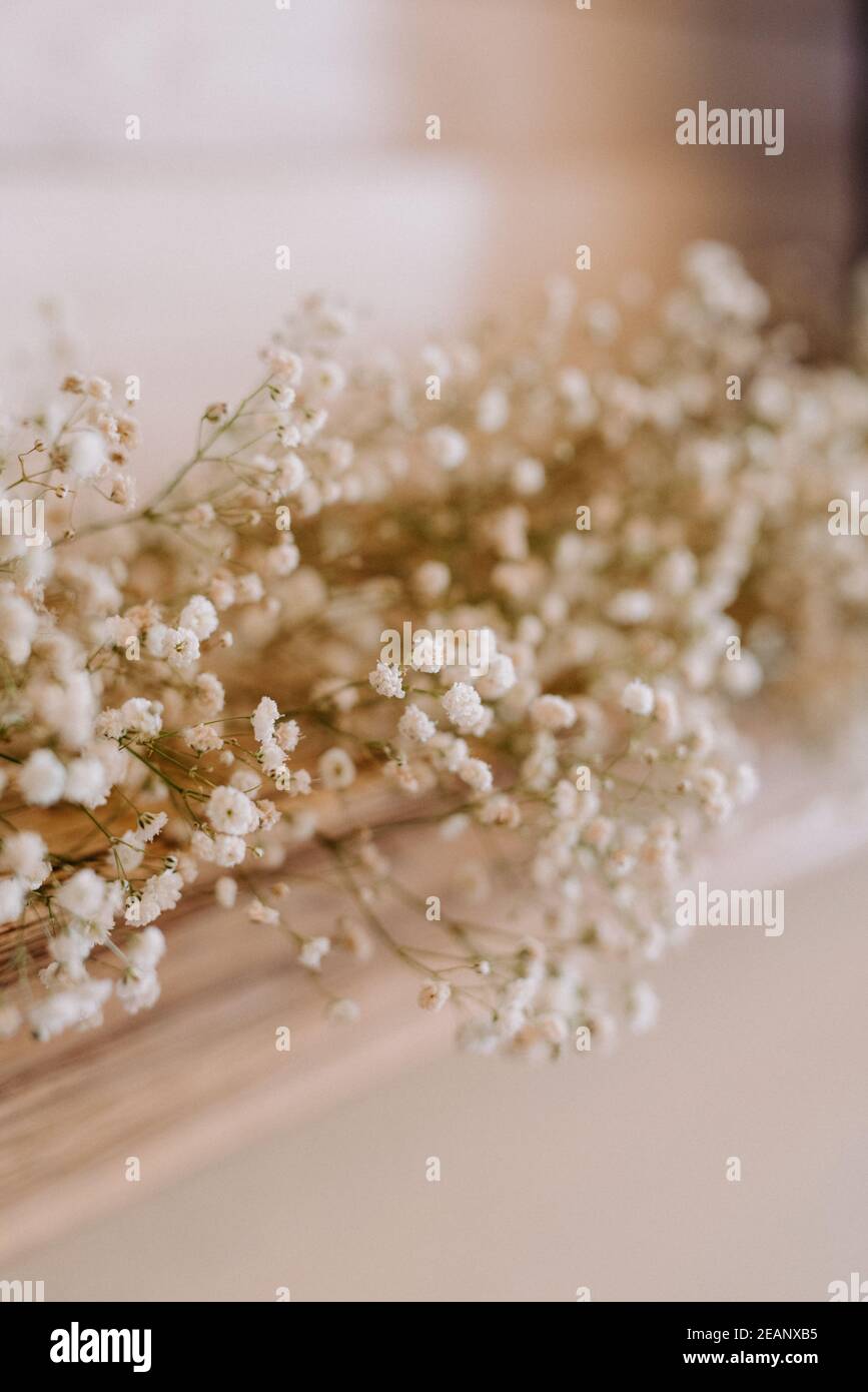 il presidio degli sposi novelli nella sala banchetti di il ristorante e' decorato con candele e piante verdi Foto Stock