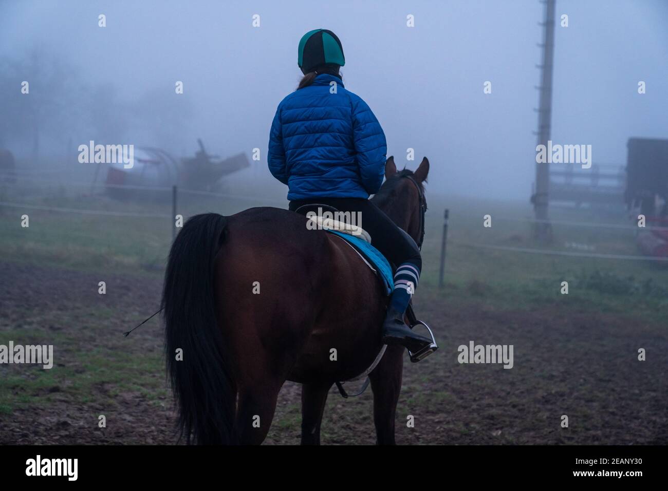 equitazione allenamento in fattoria sera nella nebbia Foto Stock