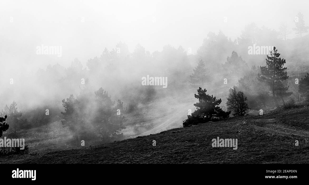 Belle nubi di cumulo su montagne e valli di Crimea. Il paesaggio della natura di Crimea. Foto Stock
