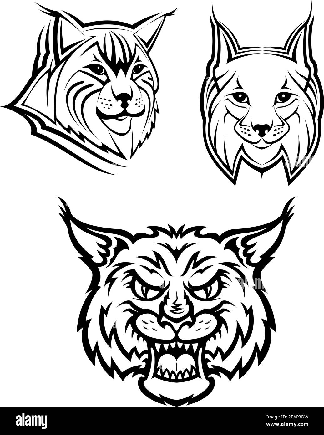 Logo della testa di un bob selvaggio o lince per il masot o la fauna selvatica design, isolato su sfondo bianco Illustrazione Vettoriale