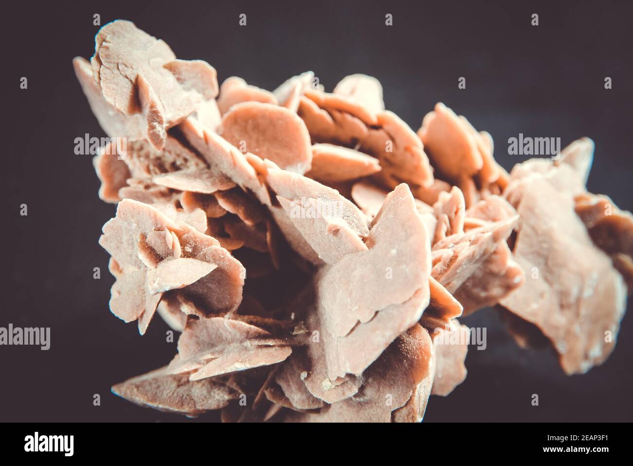 Deserto rosa cristallo isolato su sfondo nero Foto Stock