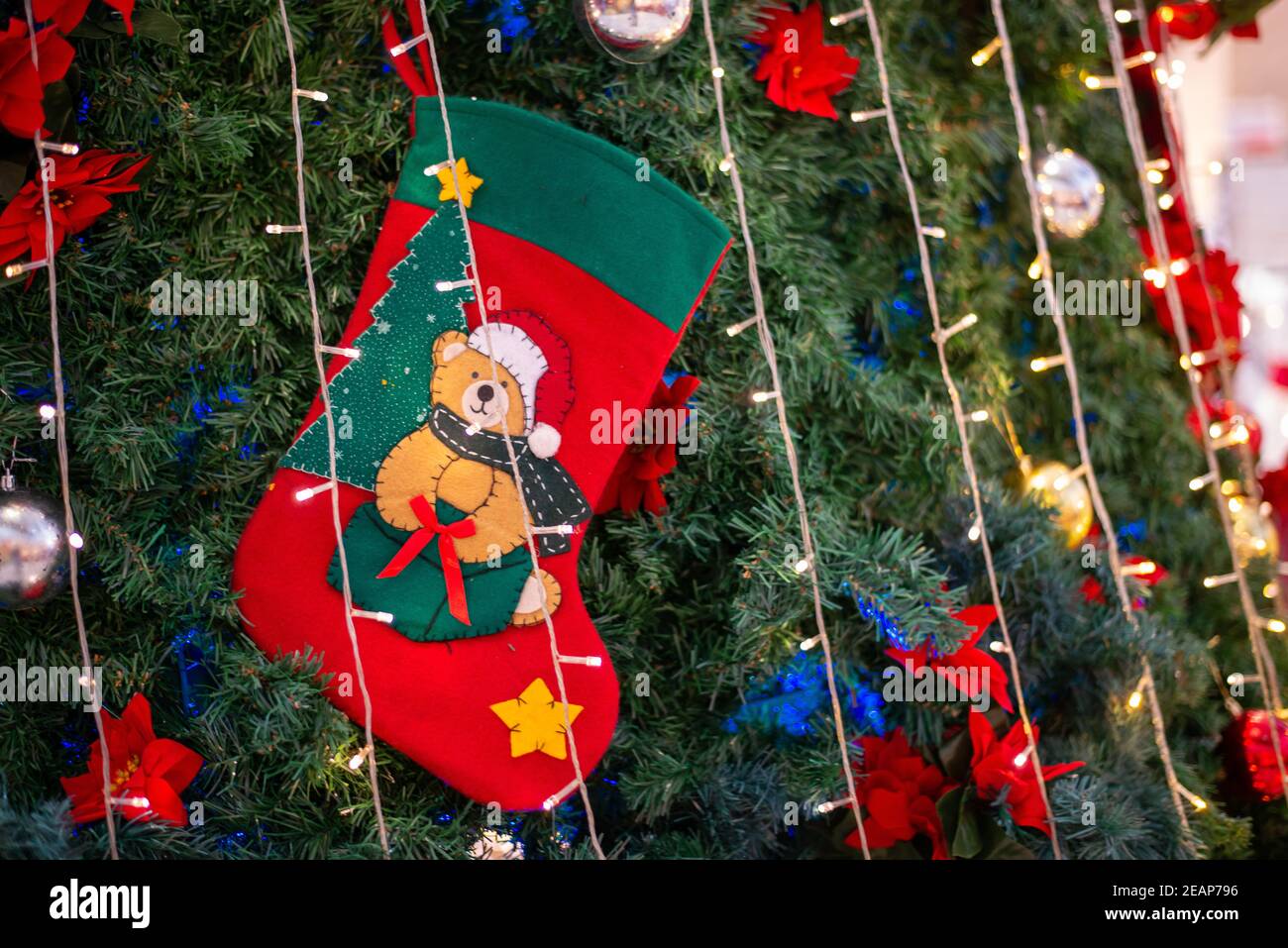 Calza dell'orso di Natale appendere come decorazione Foto Stock