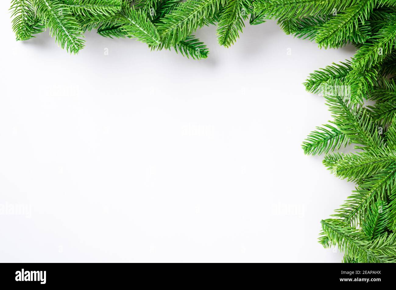 Natale cornice abete albero ramo di confine Foto Stock