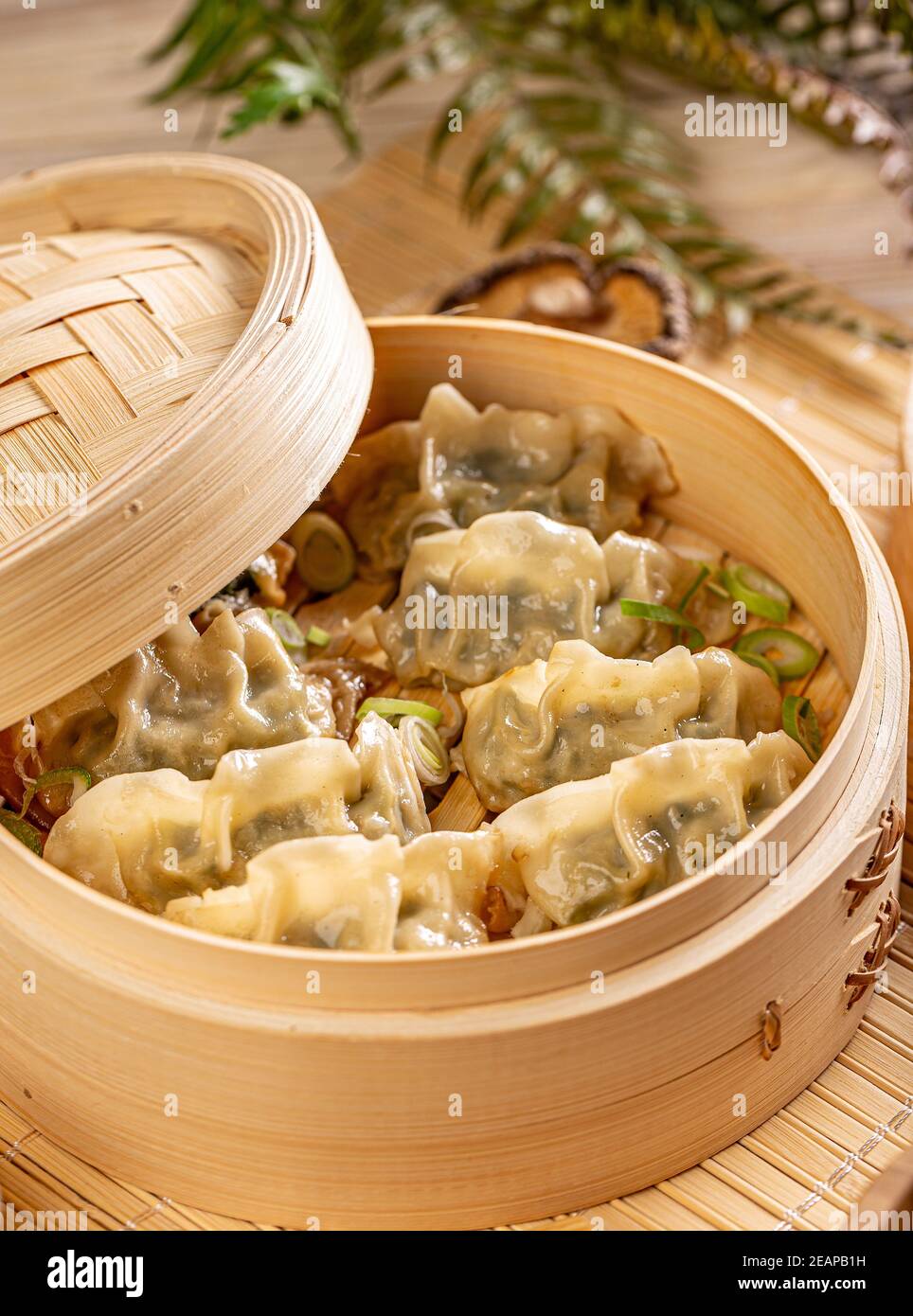 Cucina asiatica tradizionale Foto Stock