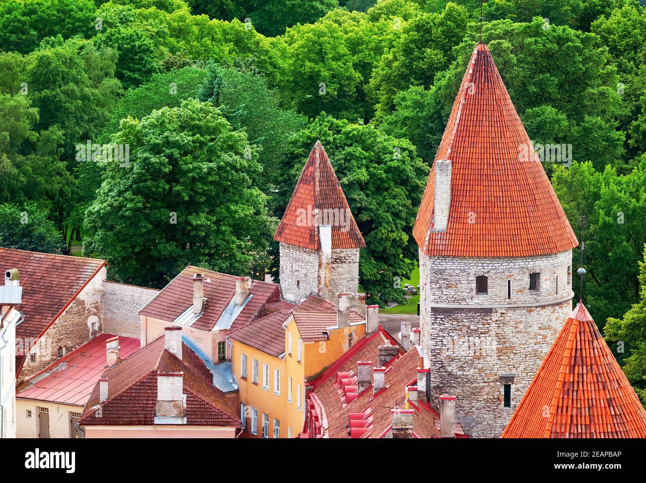 Vista della vecchia Tallinn Foto Stock