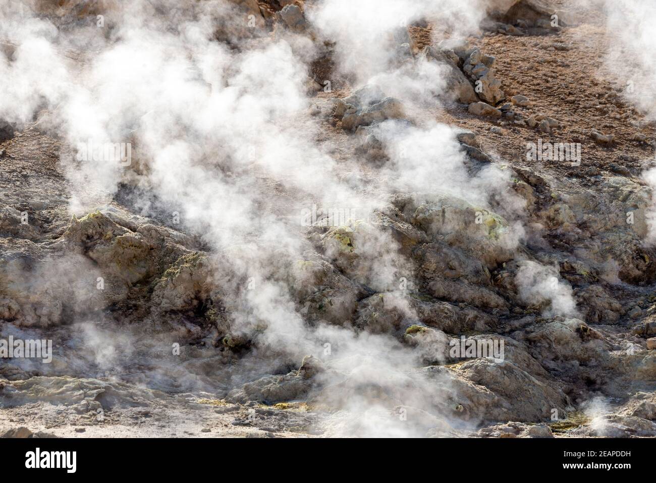 Le piscine vulcaniche a vapore a Hverir, Myvatn, Nordhurland Eystra, Islanda. Foto Stock