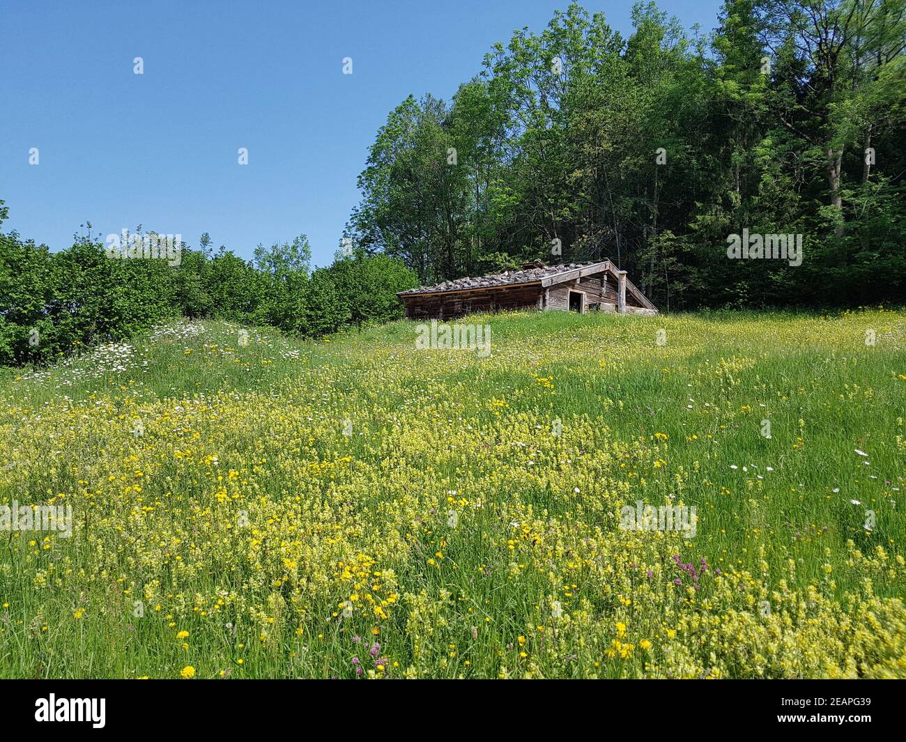 Kaesehaus, Wahlkaser, Kasalm, Freilichtmuseum Foto Stock