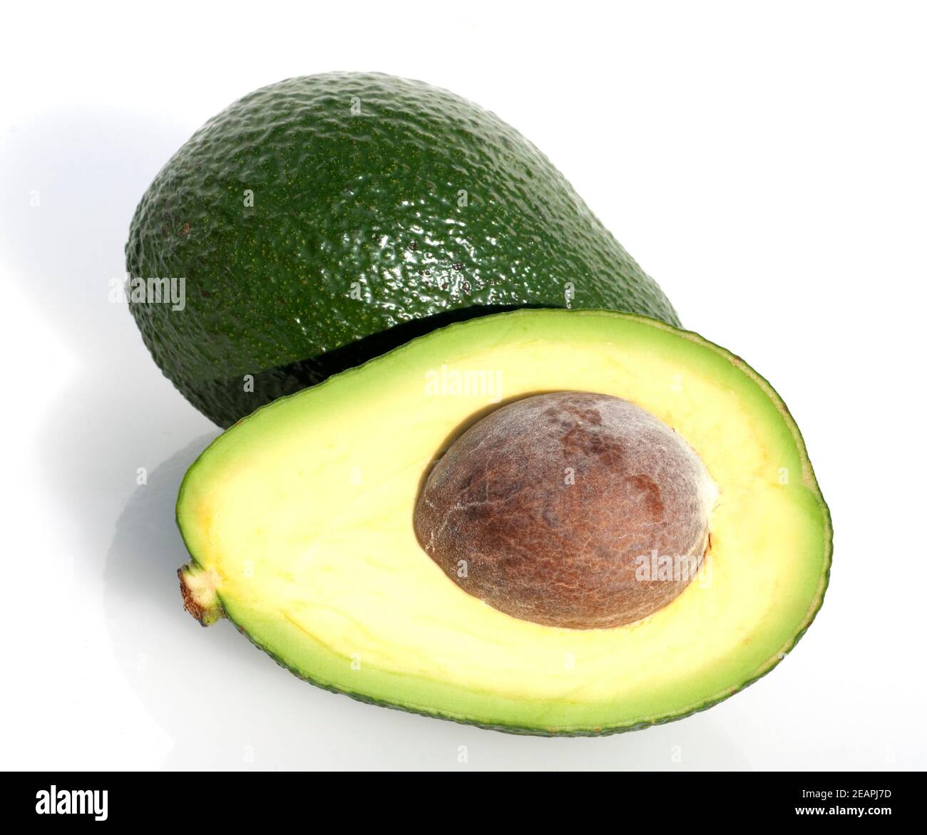 Avocado, Persea americana Foto Stock