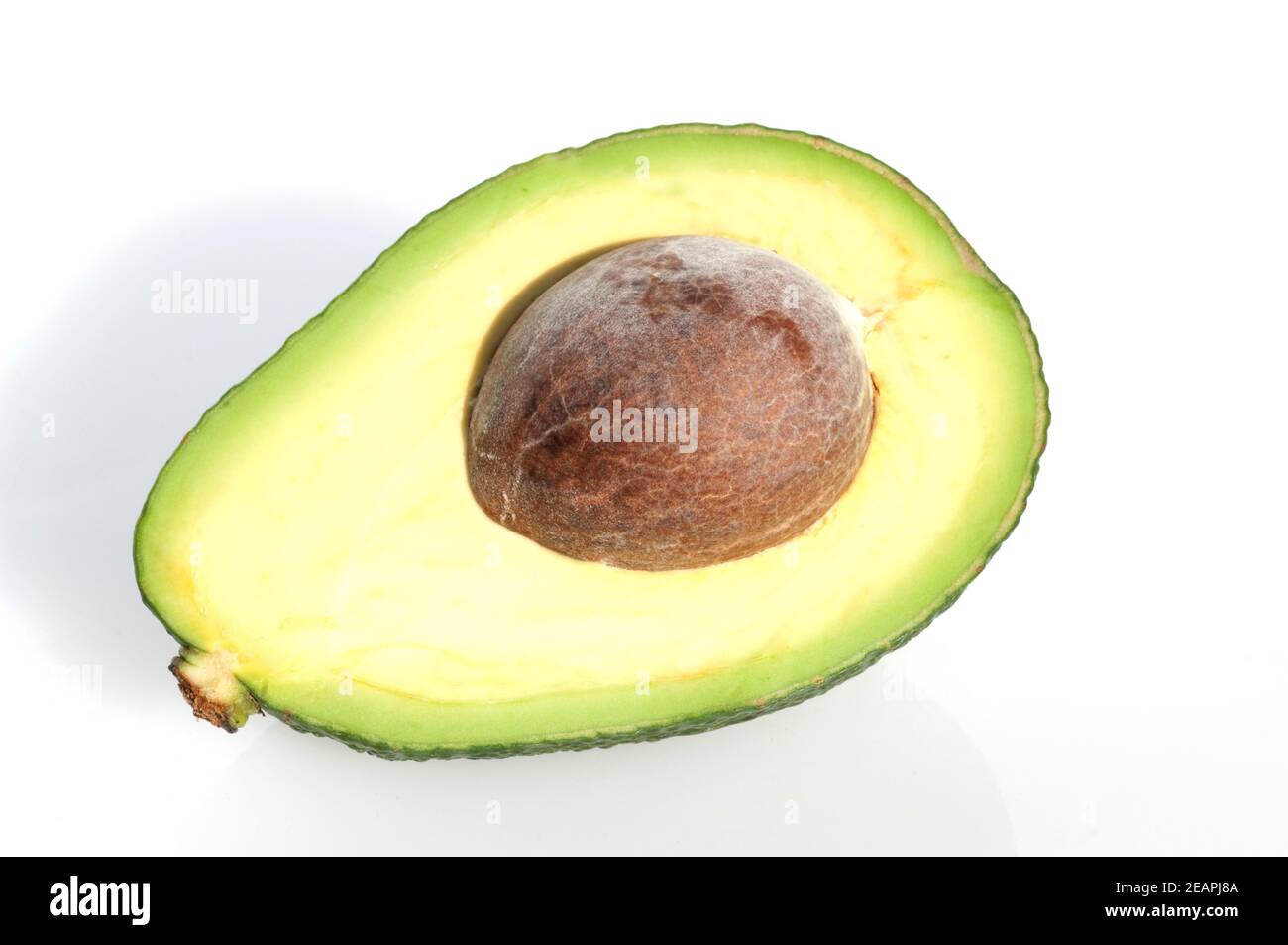Avocado, Persea americana Foto Stock