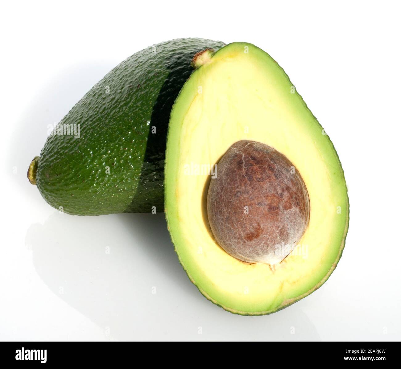 Avocado, Persea americana Foto Stock