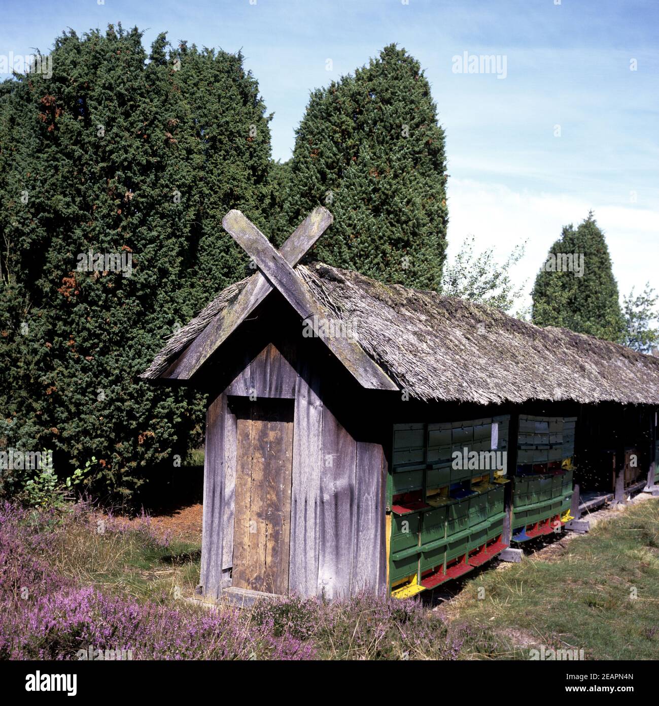 Bienenenhaus, Bienenstock Foto Stock