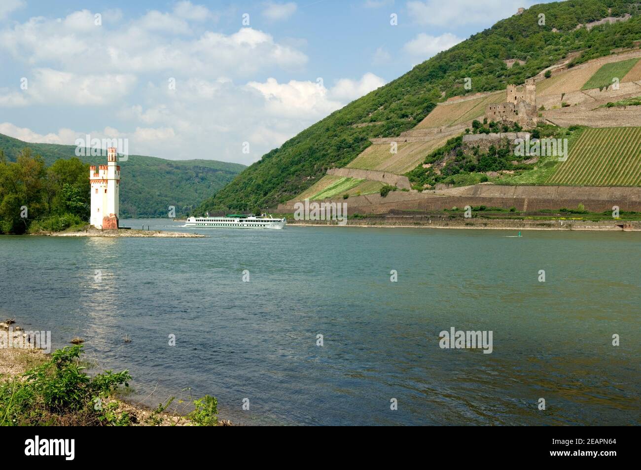 Binger Maeuseturm Burg Ehrenfels Foto Stock