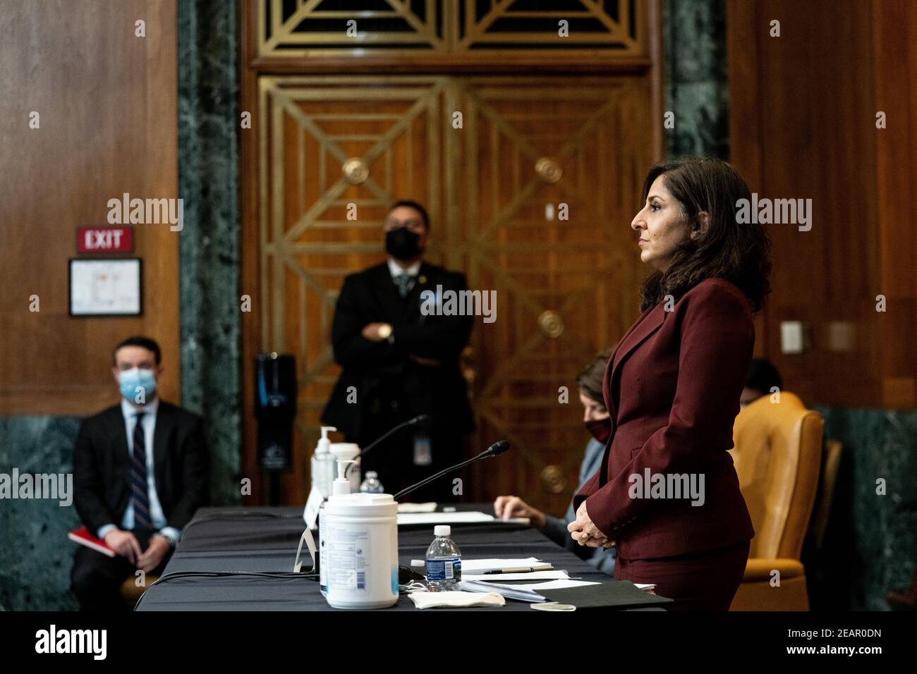 Neera Tanden, candidato del presidente Joe Biden per il direttore dell'ufficio di gestione e di bilancio (OMB), parla ad un'audizione con il Comitato del Senato sul bilancio su Capitol Hill a Washington il 10 febbraio 2021.Credit: Anna Moneymaker/Pool via CNP /MediaPunch Foto Stock