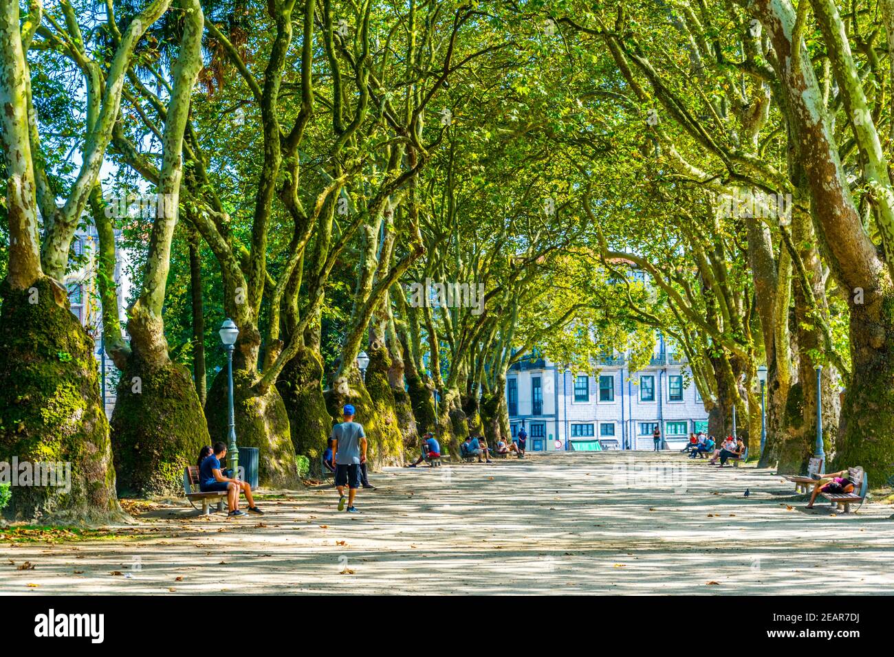 Vista sul parco cordoaria di Porto, Portogallo. Foto Stock