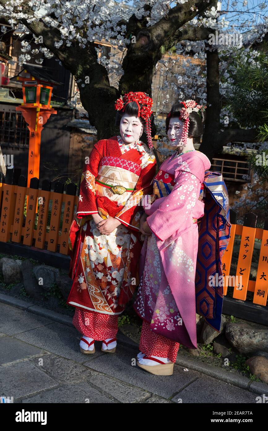 Kyoto Giappone due donne in coloratissimo Kimono tradizionale vestito come  Geisha su Shinbashi Dori Street sotto fiori di ciliegio (Sakura Foto stock  - Alamy