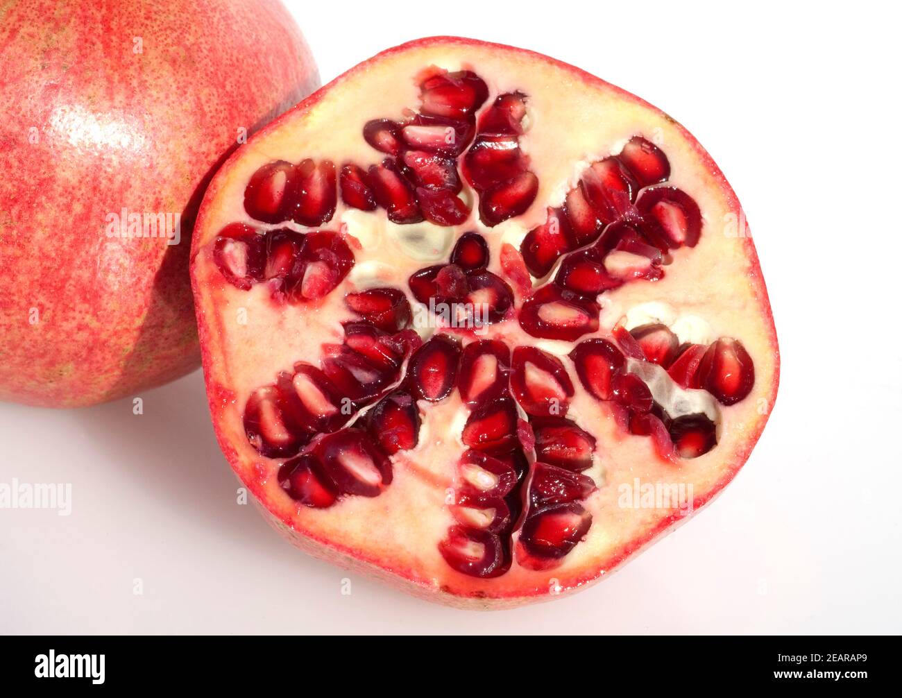 Granatafel, Punica granatum Foto Stock