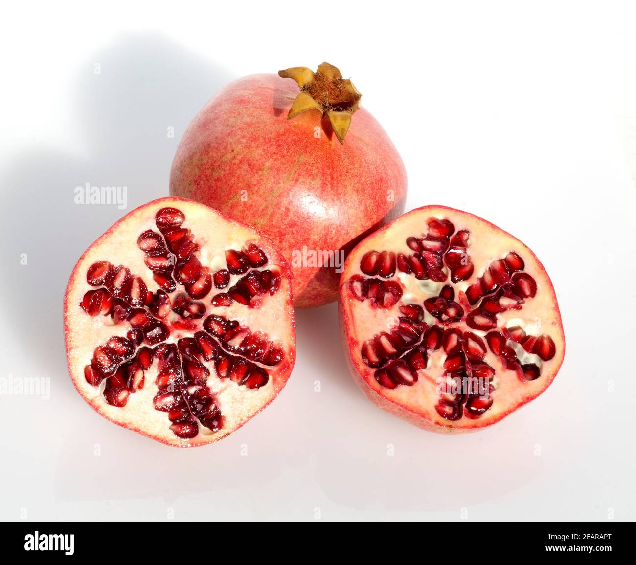 Granatafel, Punica granatum Foto Stock