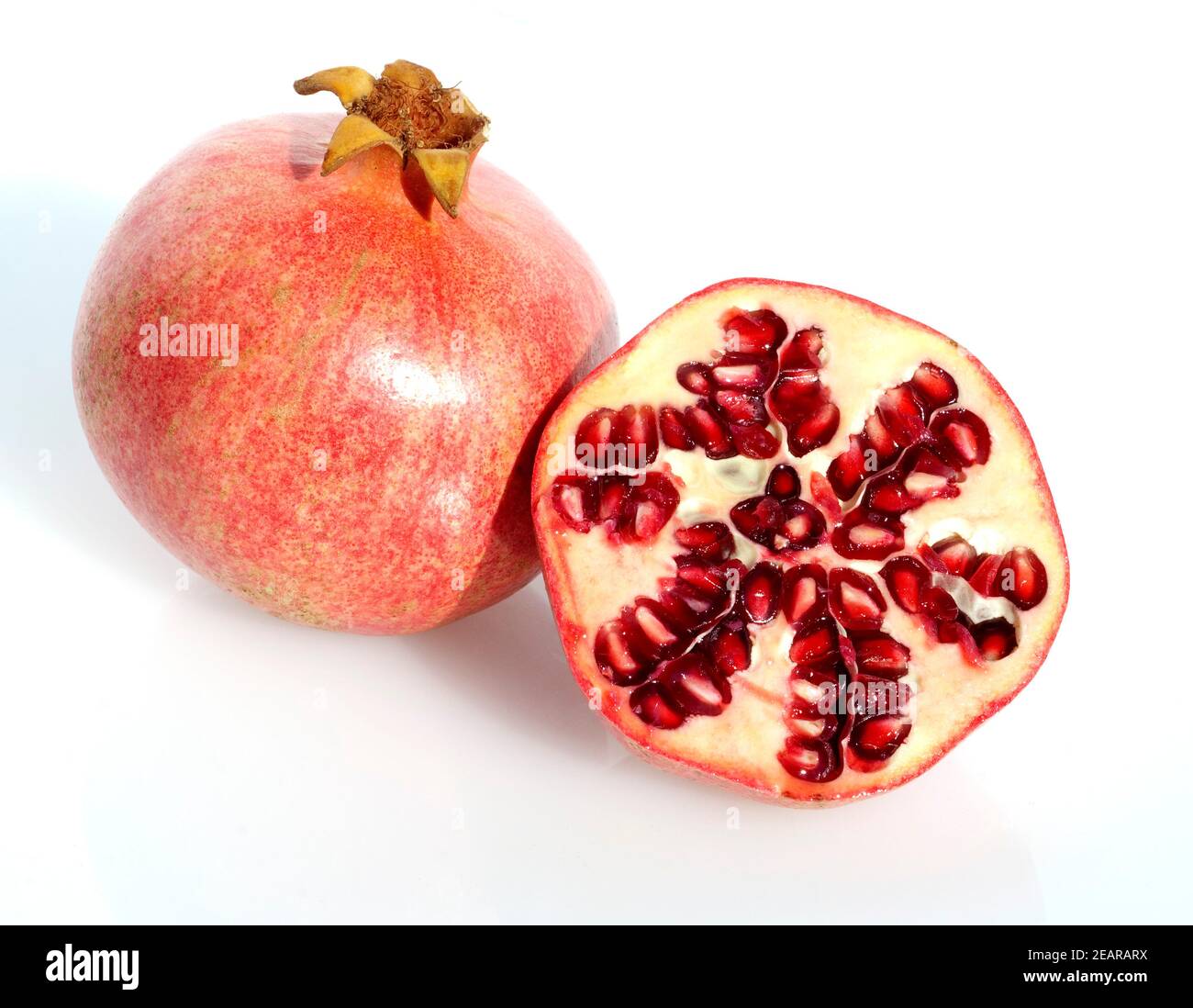 Granatafel, Punica granatum Foto Stock