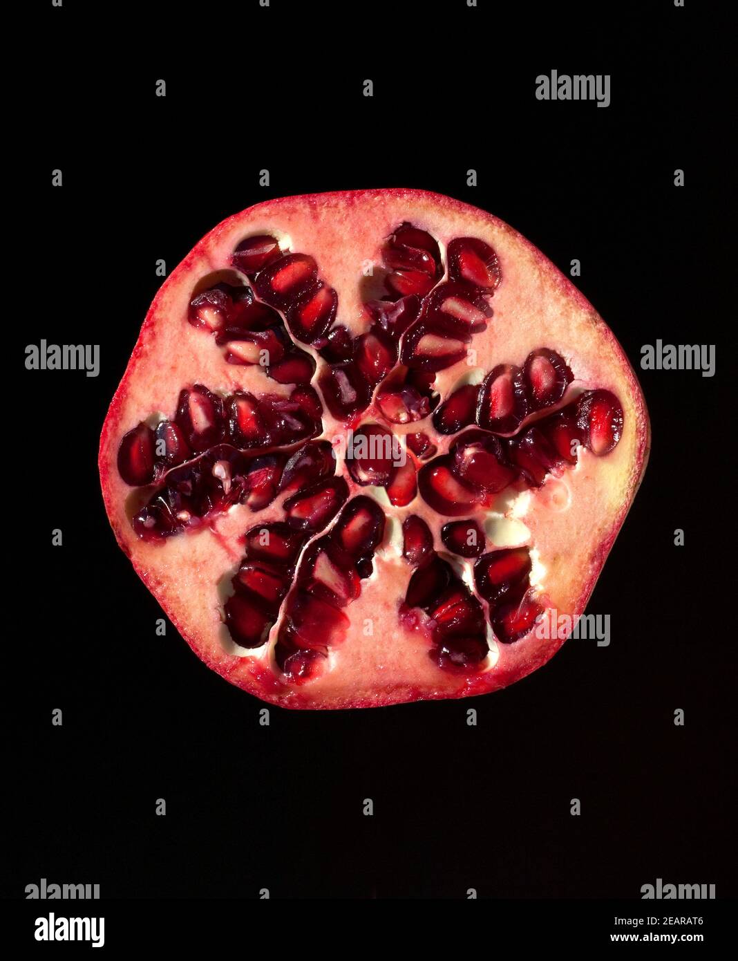 Granatafel, Punica granatum Foto Stock