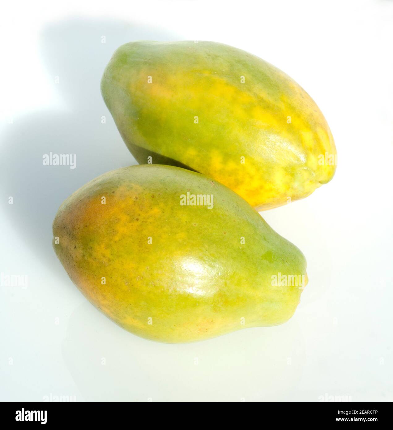 Papaia, Carica papaya Foto Stock