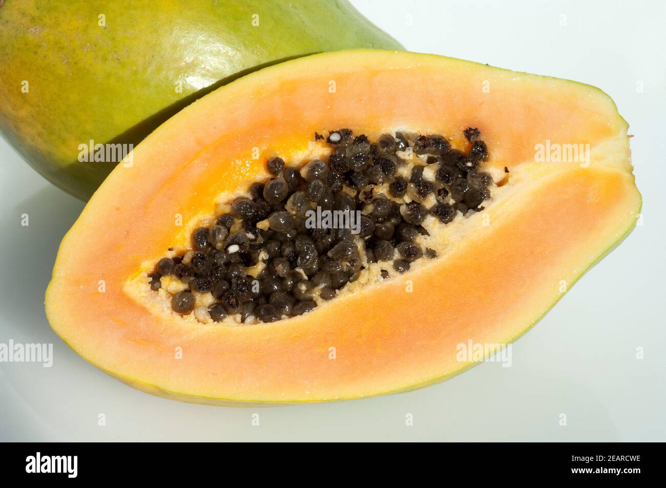 Papaia, Carica papaya Foto Stock