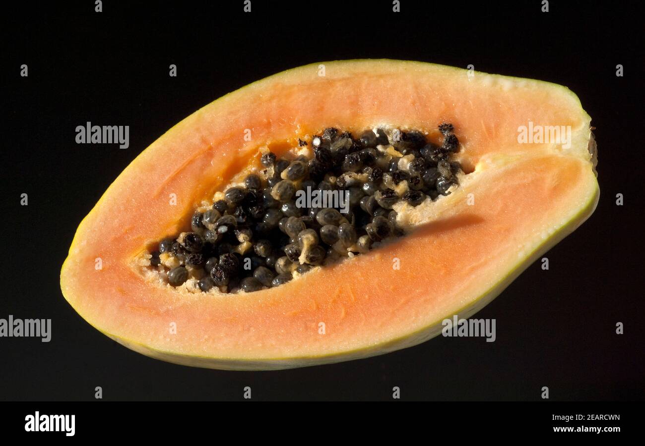 Papaia, Carica papaya Foto Stock