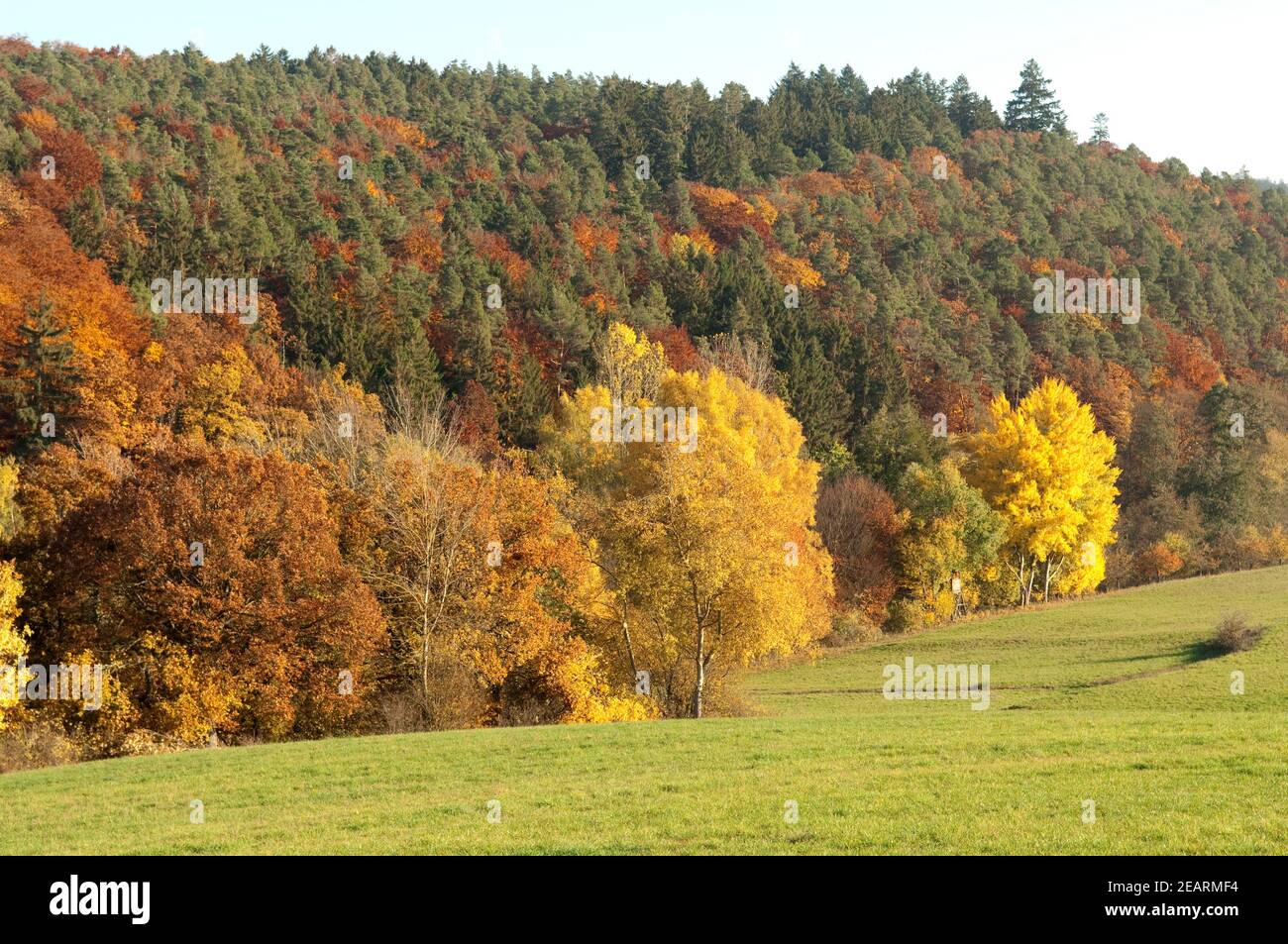 Herbstimpressionen, Herbst, Herbstblaetter Foto Stock