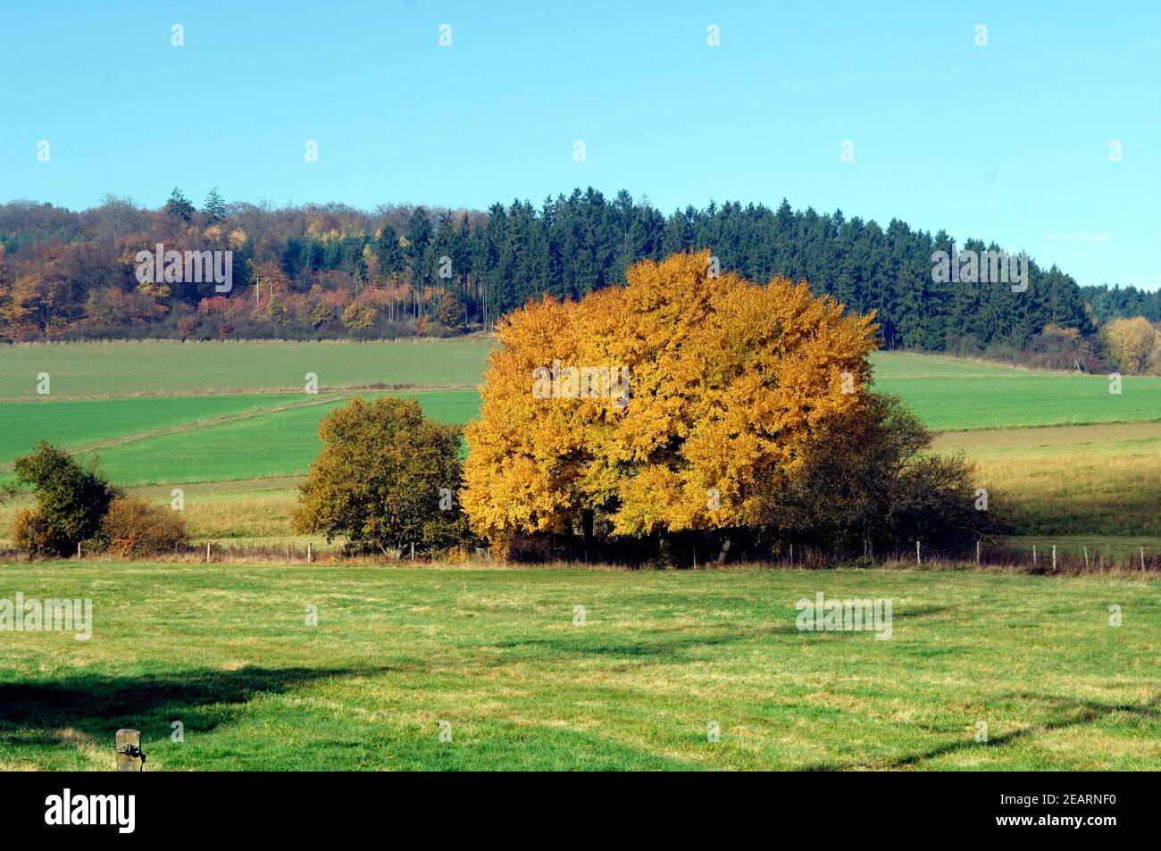Herbststimmung Taunusstein Foto Stock