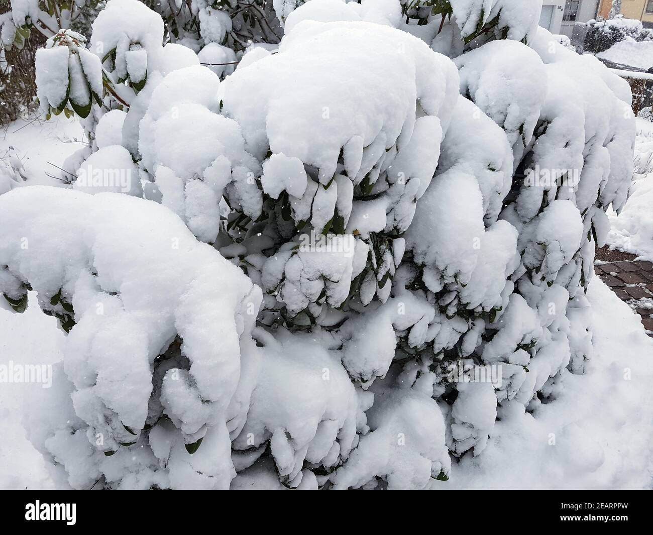 Garten, Schnee, inverno Foto Stock