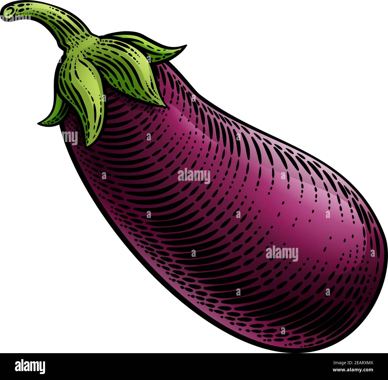 Melanzane Aubergine verdure Woodcut Illustrazione Illustrazione Vettoriale
