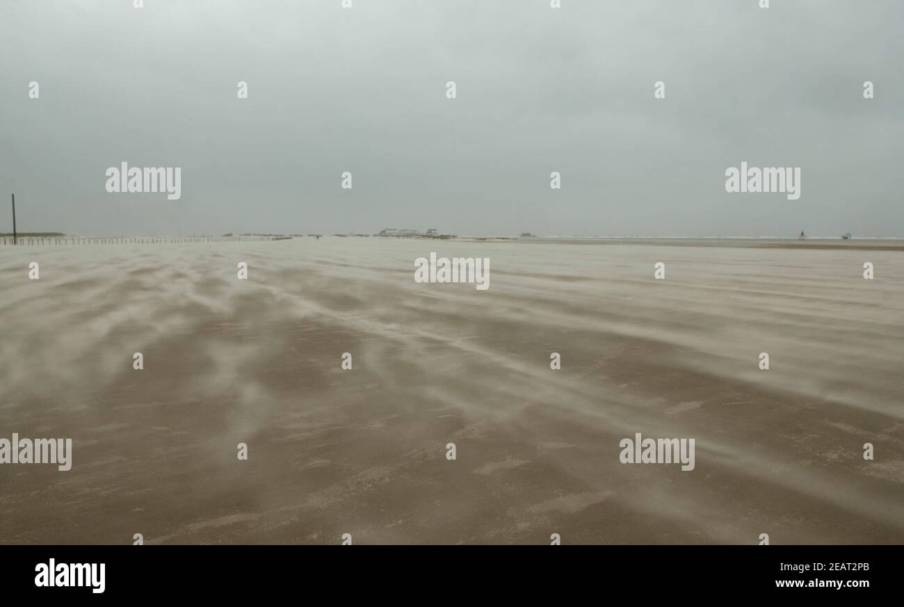 Sandsturm, Strand, Sankt Peter-Ording Foto Stock