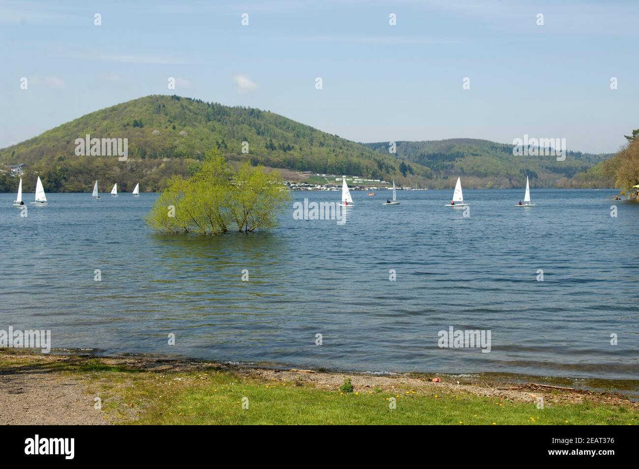 Edersee, Ederstausee, Deutschland, Naturpark, Kellerwald-Edersee, UNESCO Foto Stock