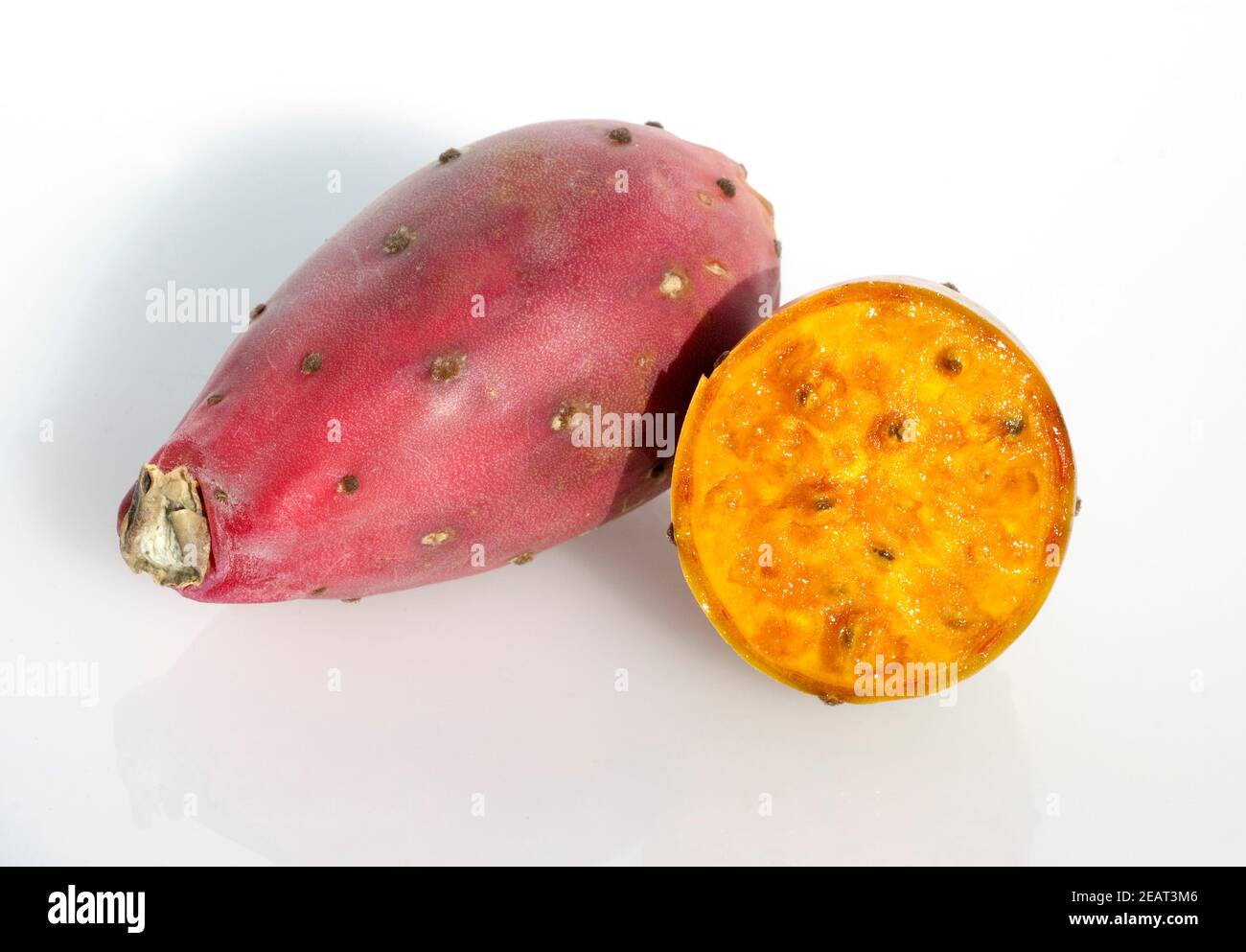 Kaktusfeige, Opuntia ficus indica Foto Stock