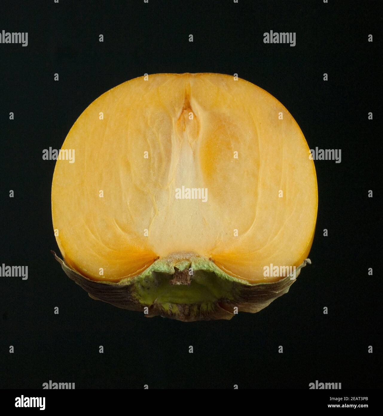 Kaki, Kakipflaume, Diospyros Foto Stock