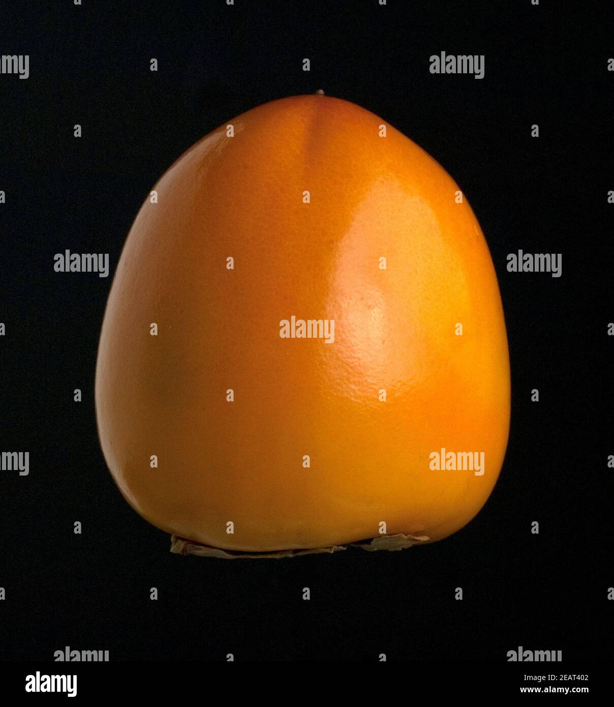 Kaki, Kakipflaume, Diospyros Foto Stock