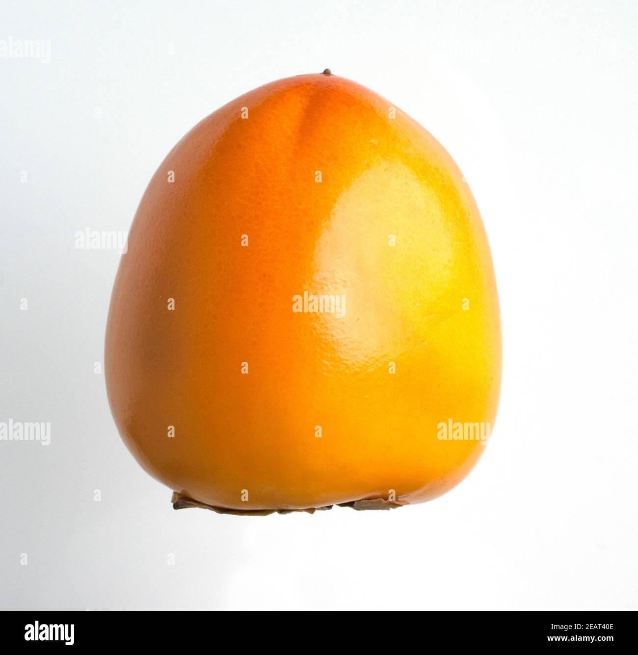 Kaki, Kakipflaume, Diospyros Foto Stock