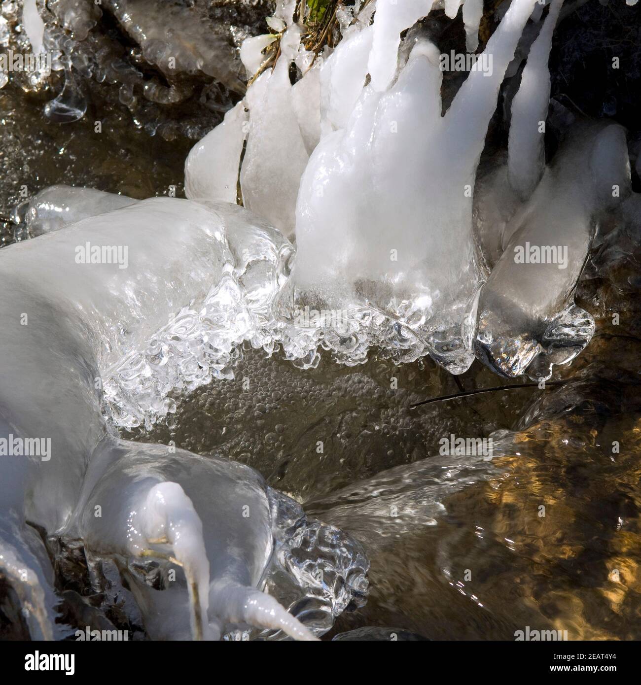Eiszapfen, am Bachlauf Foto Stock