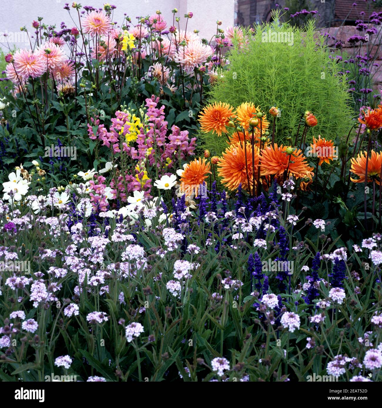 Sommerblumenbeet Foto Stock