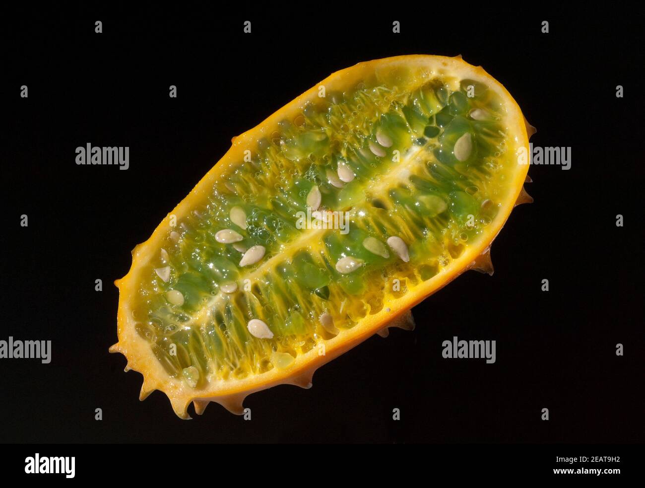 Kiwano, Swani Melone Foto Stock
