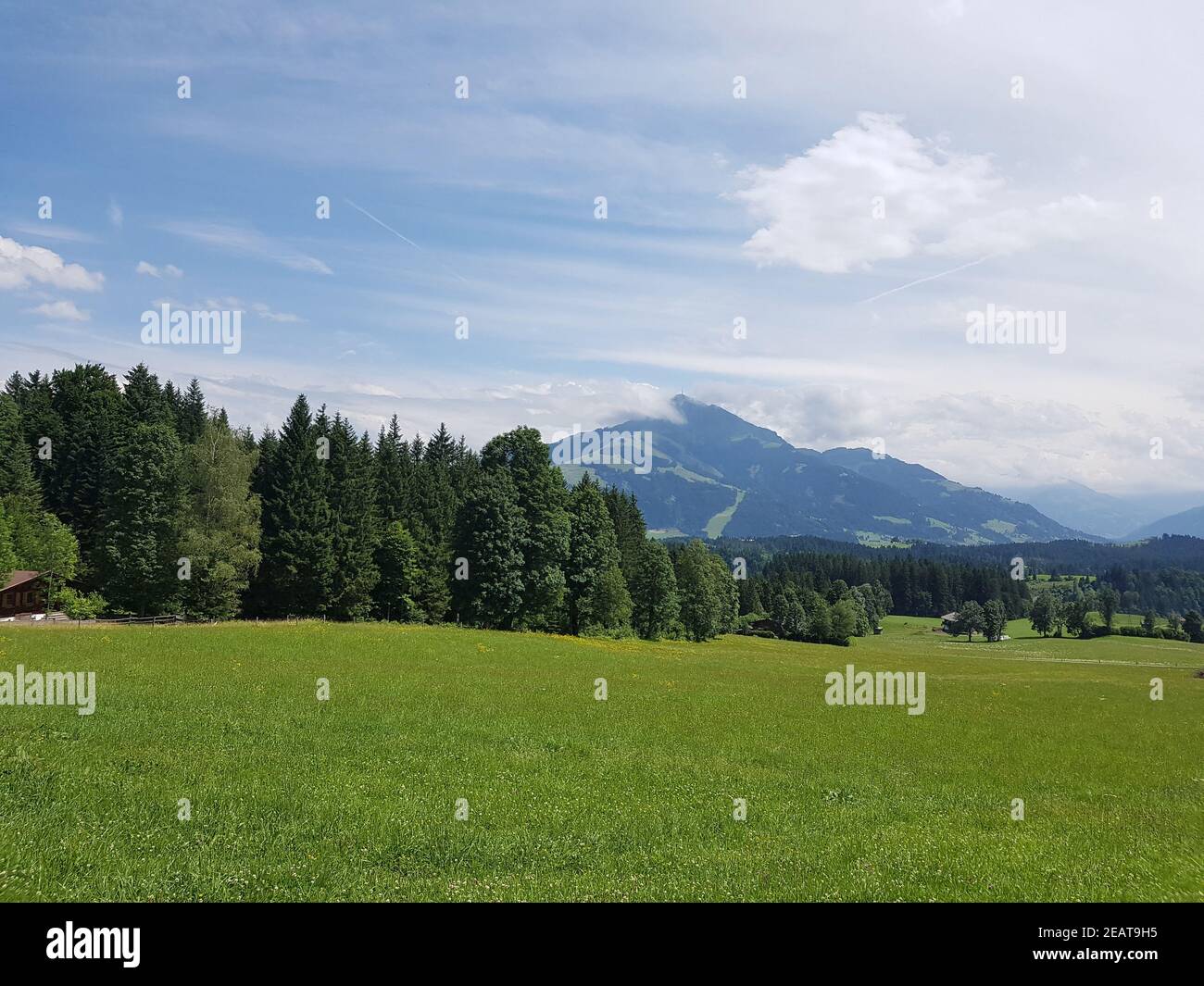 Kitzbueheler Horn, Kitzbueheler Alpen Foto Stock