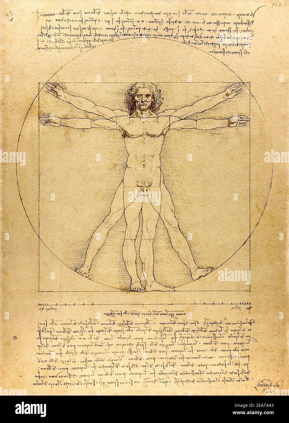L'uomo Vitruviano disegnato da Leonardo da Vinci nel 1492. Foto Stock