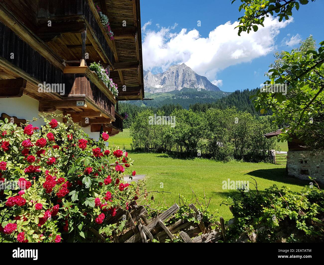 Wilder Kaiser, Tirol, Osterreich, Gebirgstock Foto Stock