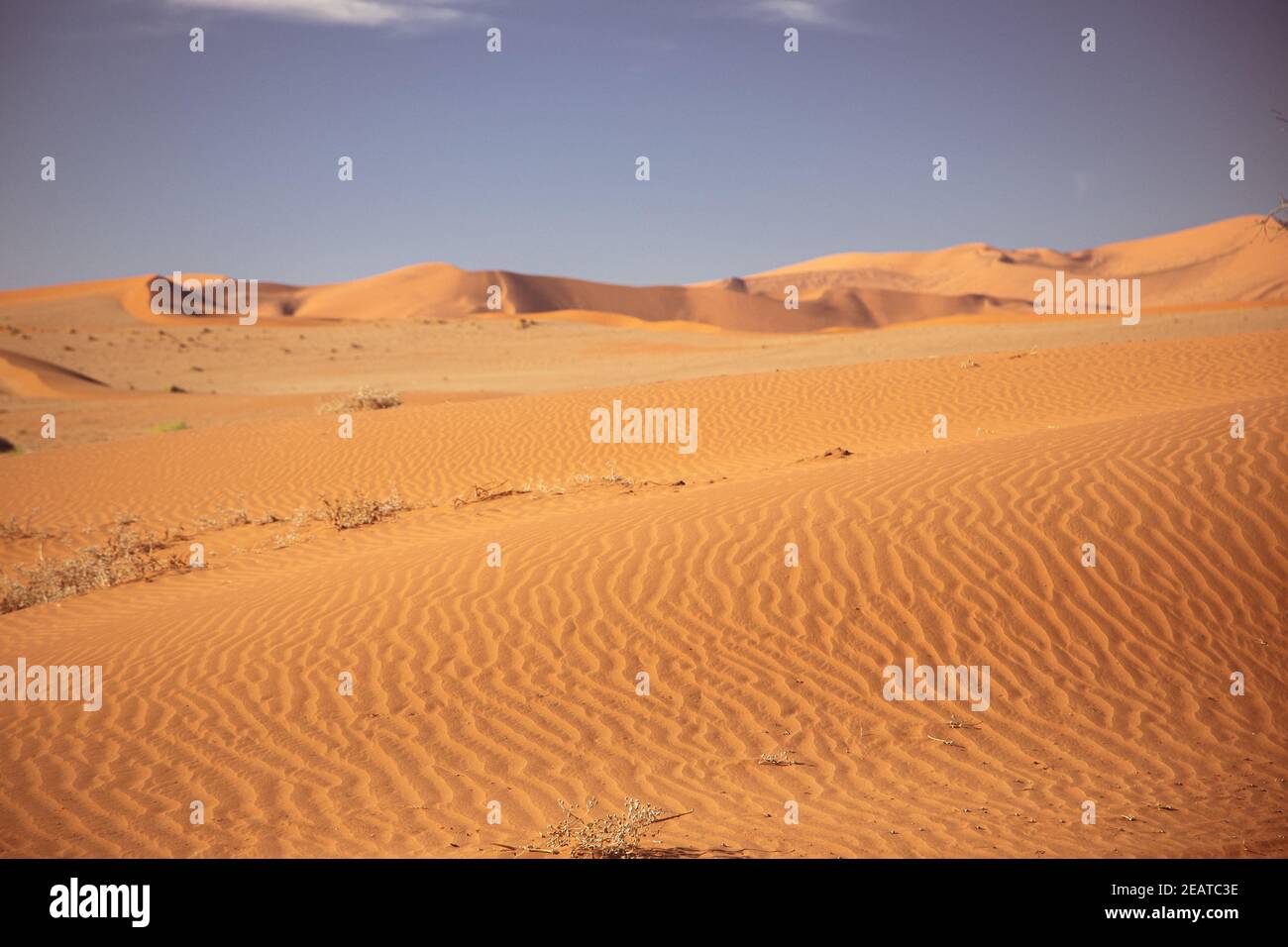 Paesaggio desertico della Namibia con una luce calda e suggestiva Foto Stock