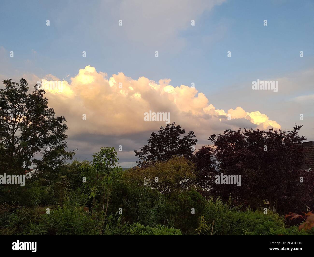 Wolken, Konvektionswolken Blauer, Himmel Foto Stock