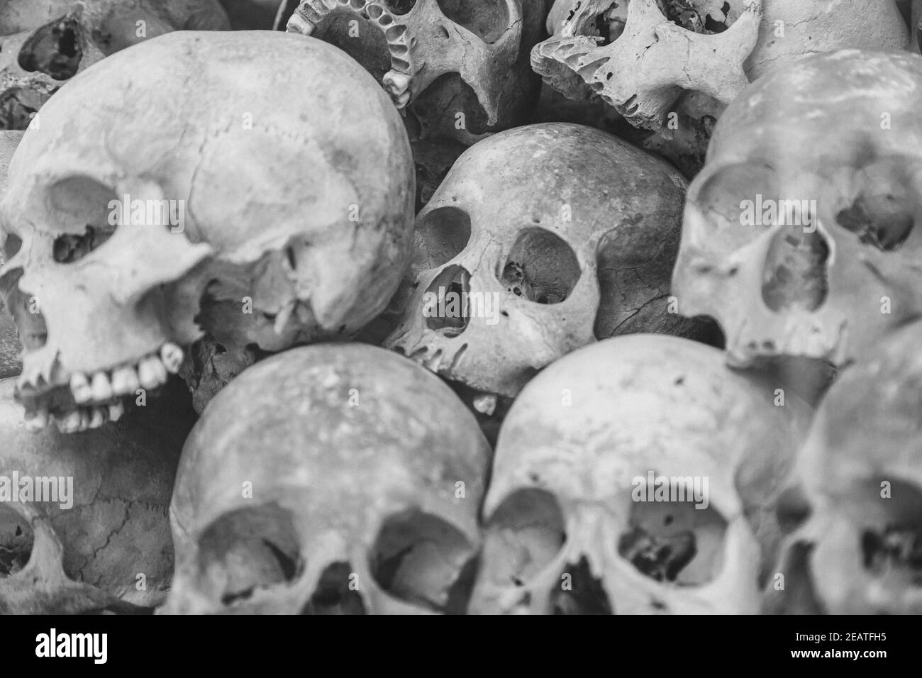 Teschi umani in pila a campi di uccisione a Phnom Penh, Cambogia Foto Stock