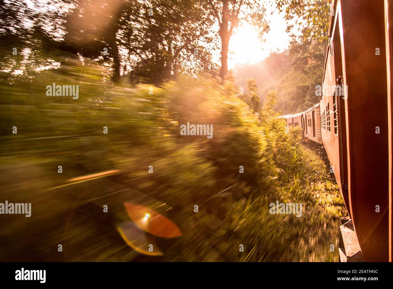 Treno rosso che viaggia attraverso una lussureggiante foresta con luce solare Foto Stock