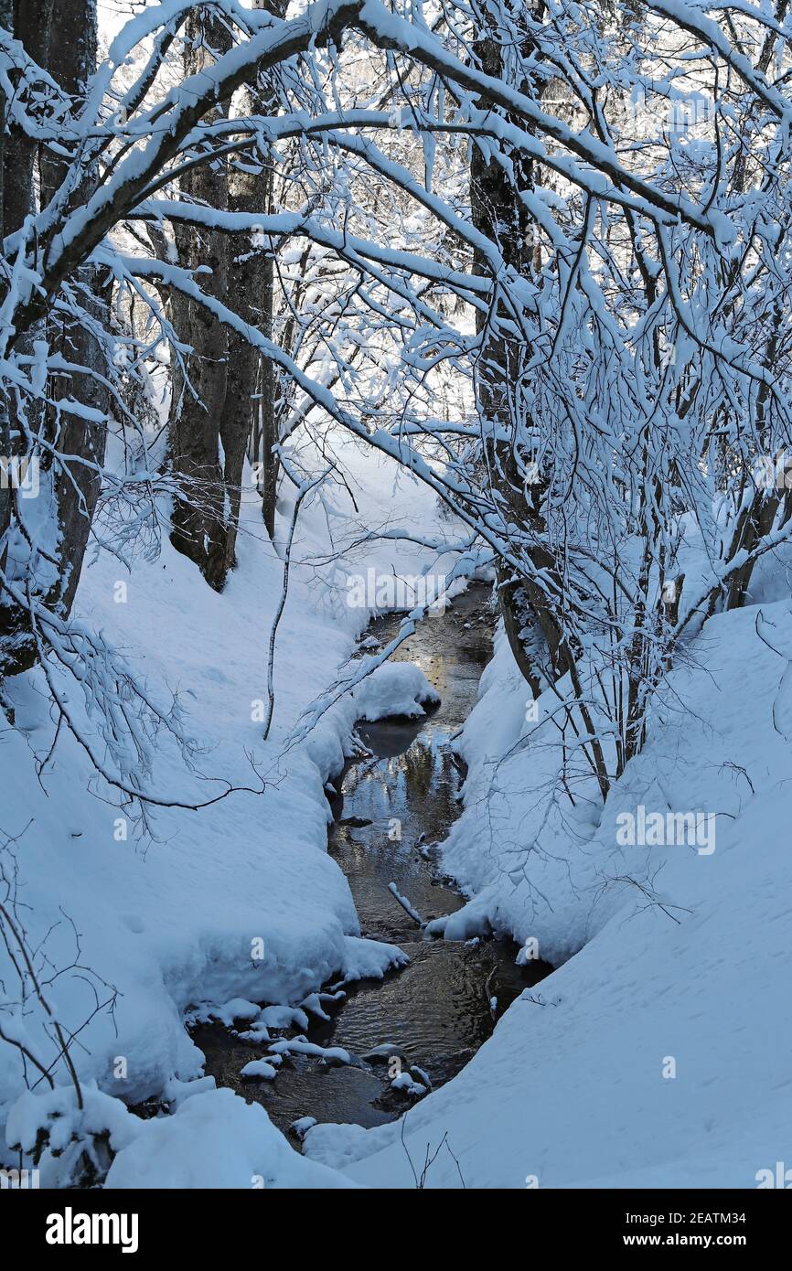 Un bellissimo paesaggio invernale con molta neve con alberi da un flusso Foto Stock